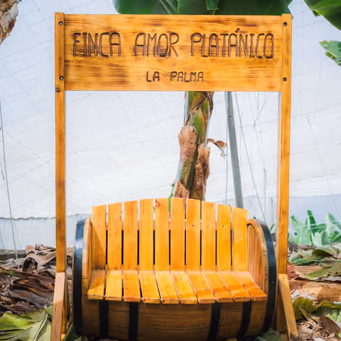 Cartel de madera tallado con el nombre Finca Amor Platánico, La Palma, sobre un banco hecho con una barrica