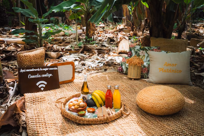 Rincón de descanso con alfombra de fibra, cojines bordados de Amor Platánico y una bandeja con vino, zumos y papas arrugadas