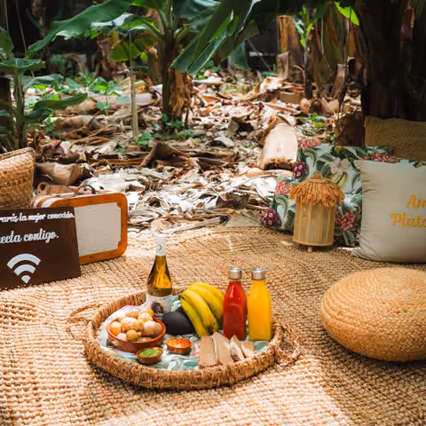 Rincón de descanso con alfombra de fibra, cojines bordados de Amor Platánico y una bandeja con vino, zumos y papas arrugadas